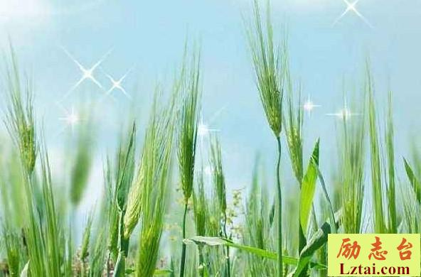 小学校园安全的班会策划 图1