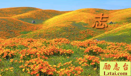 志愿者扫墓策划书范文 图1