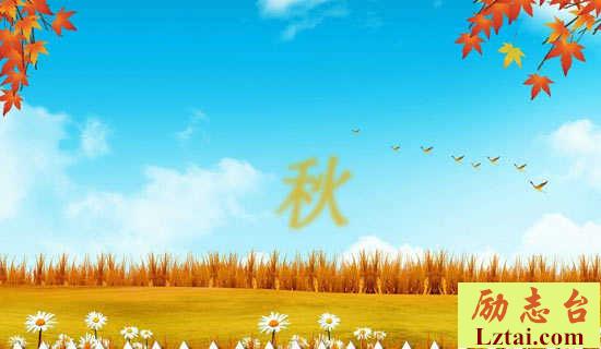 秋天的童话婚礼策划方案范文 图1