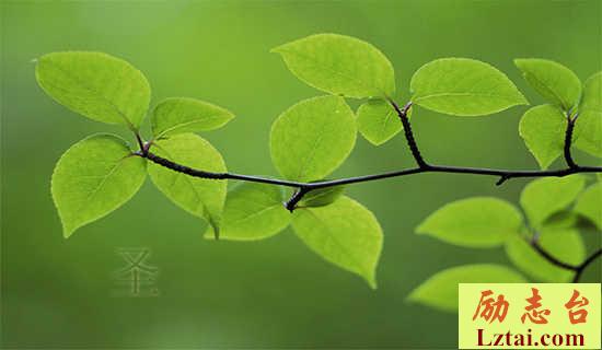 圣诞联谊策划方案范文 图1