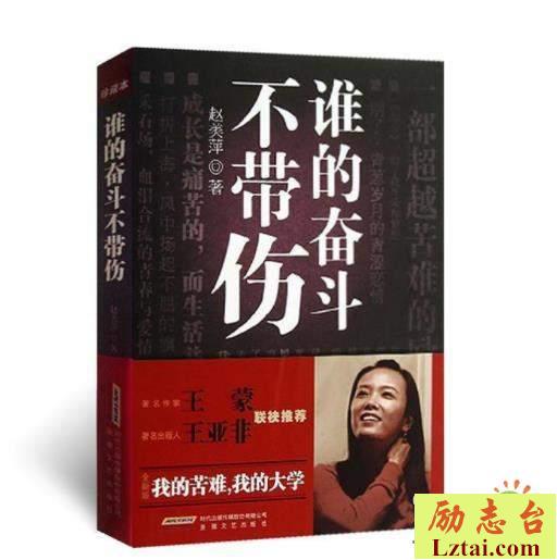 谁的奋斗不带伤读后感书评