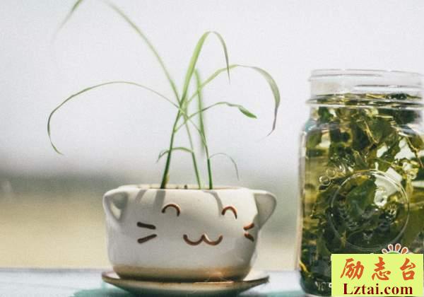 伤感余生自己走的说说心情：生活在继续，学会更爱自己一点