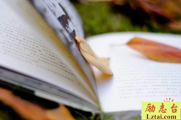 当爱已成习惯的句子心酸说说：一生中有那么多个路口，总有一个会走散吧