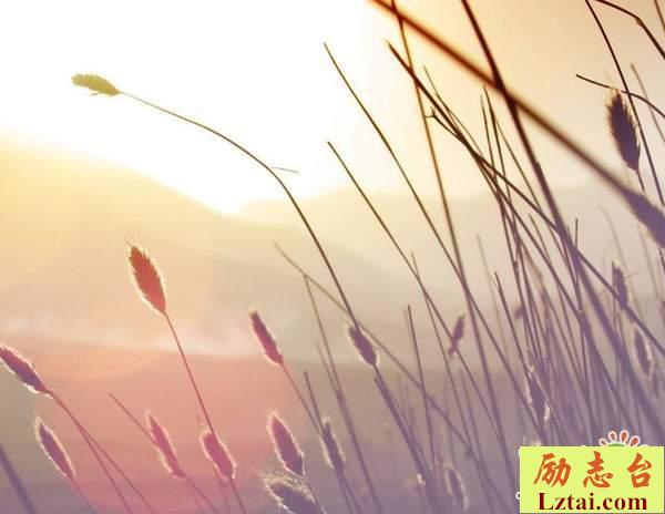 所谓成长的经典语录说说：不要轻易向现实低头