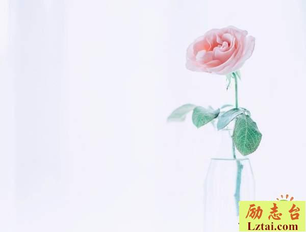 3月你好的唯美句子说说大全