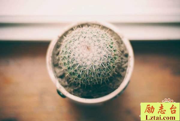 珍惜在一起的时光句子情感说说：这条路再难也要坚持走完