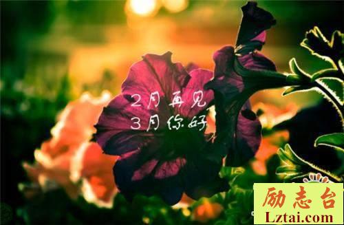二月再见三月你好告别二月迎接三月的心情说说大全