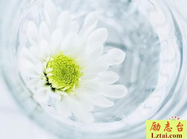 决定放下一个人的说说情感语录：祝你幸福，祝我忘记你