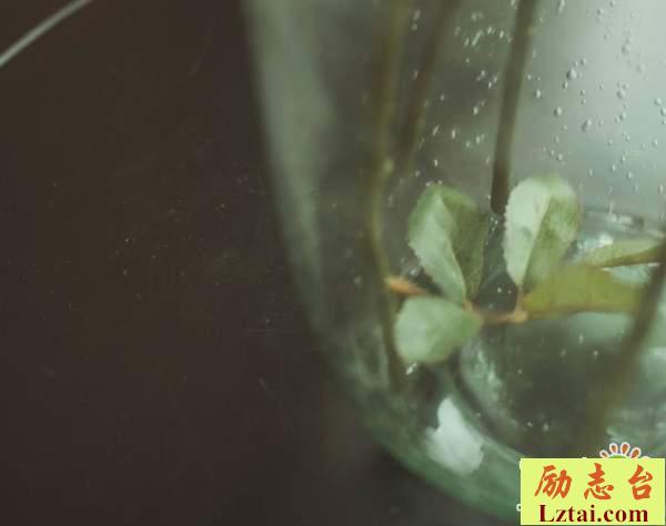 人生总是负重前行的感悟生活语录：从此一别两宽，愿君安好