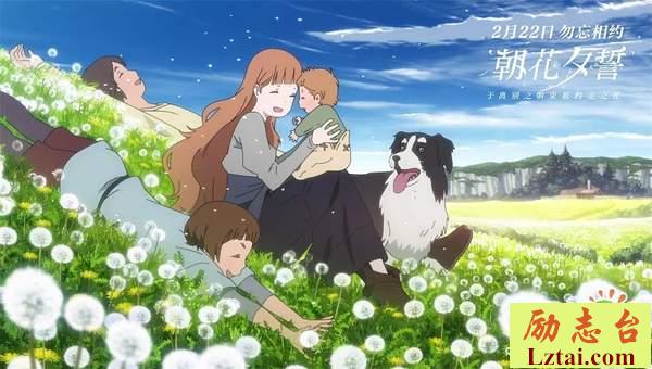 朝花夕誓观后感2500字