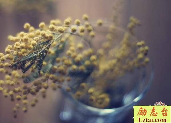 坚持梦想的句子简短励志语录：你要对得起自己，对得起身边的人