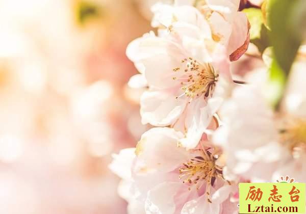 从此只是陌路的爱情伤感语录：对不起，打扰了你这么久