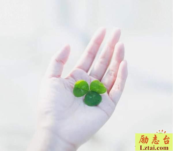 从此只是陌路的爱情伤感语录：对不起，打扰了你这么久