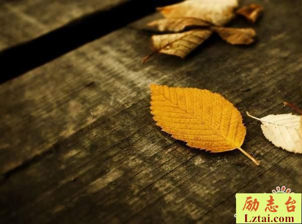 累了安慰自己的说说心情语录：所有的苦楚还是要自己消化