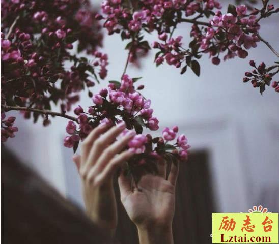 表达错过的遗憾说说心情语录：你的态度告诉了我，我有多不重要