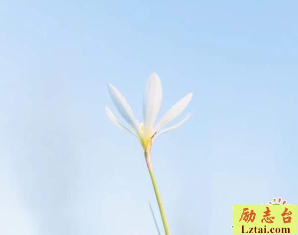 你值得真正的快乐感悟人生语录：笑只是个表情，与快乐无关
