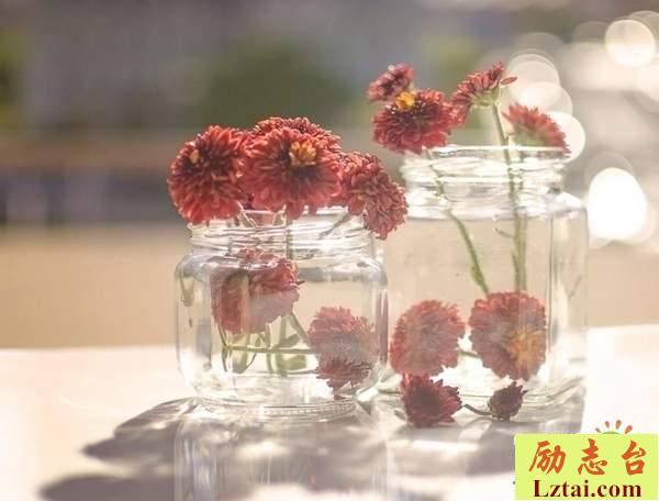 追逐梦想的人生励志情感语录：不要让自己的人生感到后悔