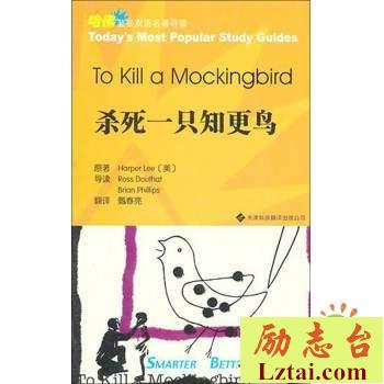 杀死一只知更鸟读后感2000字