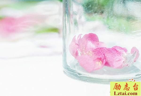 一厢情愿就得愿赌服输的伤感爱情语录说说精选