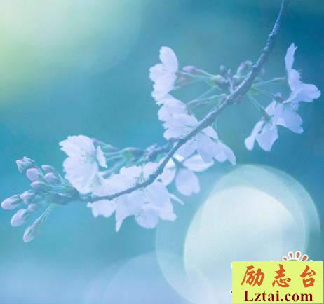 心情语录2019感悟人生：来时空荡荡，去时空荡荡