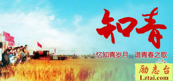纪录片我是知青观后感