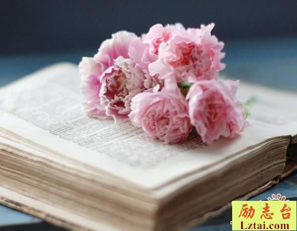 与孤独相伴的人生感悟伤感语录：孤独的人靠的是别人的故事苟延残喘