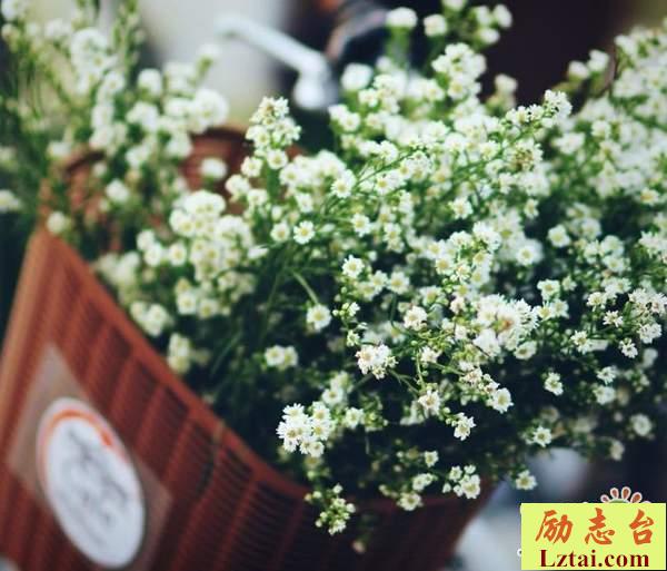 怀念失去爱情的句子伤感说说：失去的时候，真的太疼了