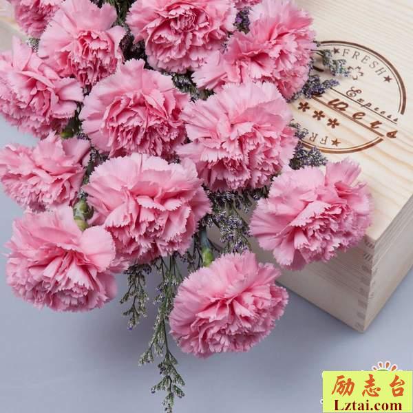 有一种幸福叫陪伴经典情感语录说说：在未来的日子里，好好照顾父母