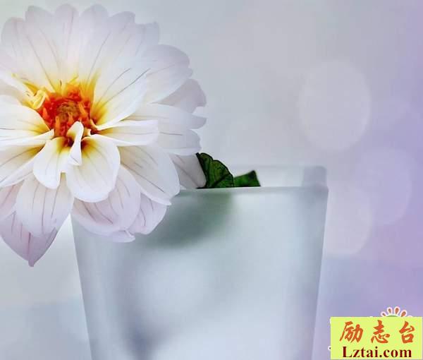 个人宣言霸气一句话精选