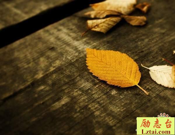 人生注定坎坷的生活感悟语录：往日少年，不复模样