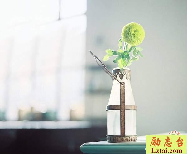 人生注定坎坷的生活感悟语录：往日少年，不复模样