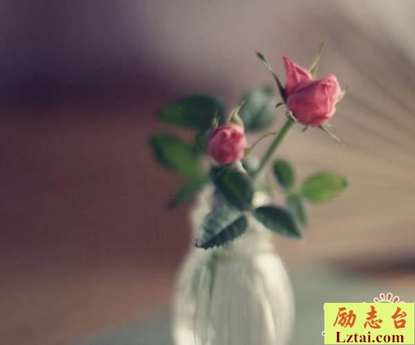 感恩亲人简短的句子说说心情感悟语录大全