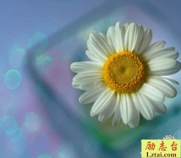 害怕孤独的说说情感语录：只有自己知道自己有多脆弱