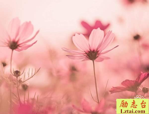 害怕孤独的说说情感语录：只有自己知道自己有多脆弱