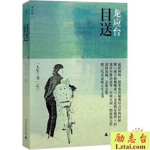目送读后感500字欣赏