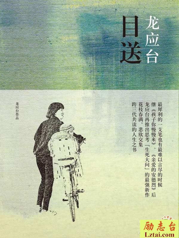 目送读后感500字欣赏