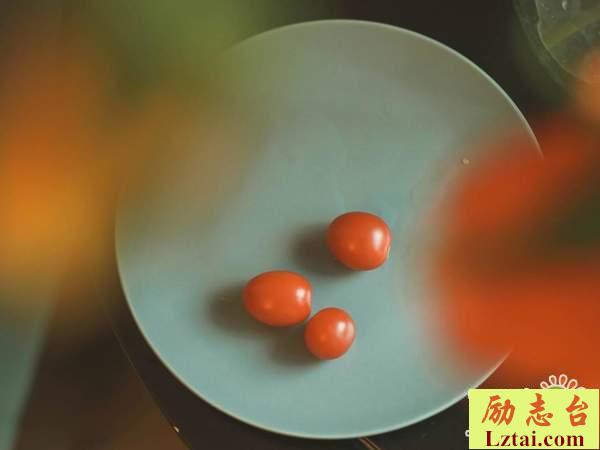 睡前晚安一句话情感语录：在感情的世界里，我累了