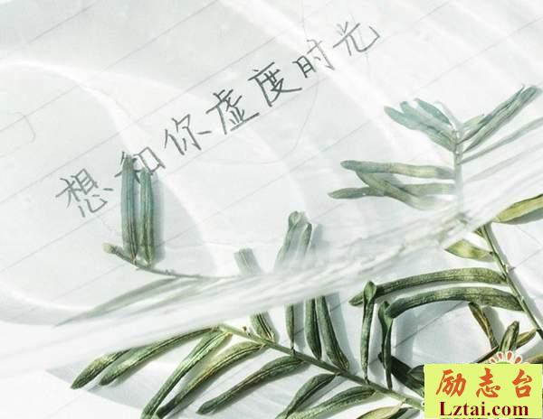 愿我们被世界温柔以待的感悟生活孤独说说语录