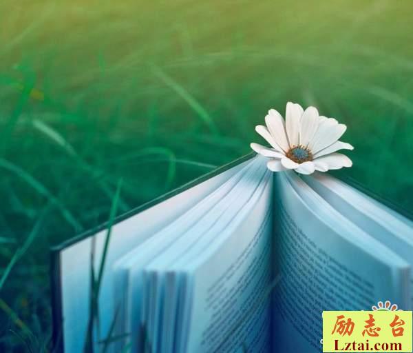 往事不回头的人生情感语录：再等等吧，好的东西总是留在了后面