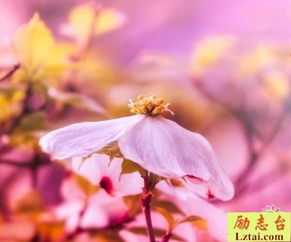 三月第一天的说说早安励志问候语大全