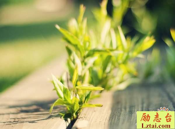 告别二月迎接三月的朋友圈情感唯美句子说说大全