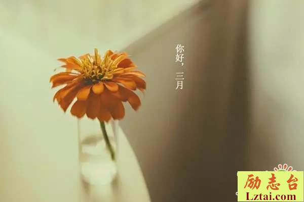 你好三月唯美句子三月第一天的心情说说大全