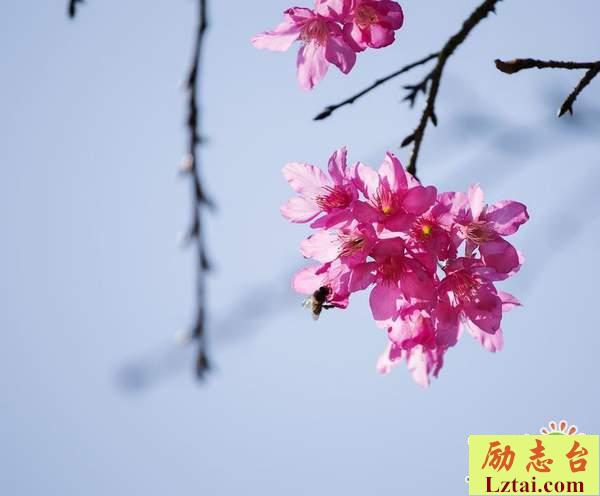 岁月改变了最初的模样说说心情：只能在梦里去祭奠那美好的梦了