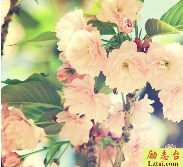 再见昨天再见青春的情感语录说说：明天，你好，昨天，再见