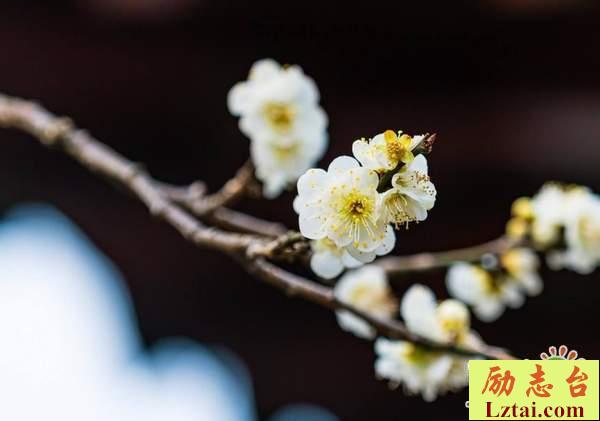 再见昨天再见青春的情感语录说说：明天，你好，昨天，再见