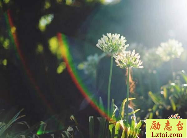 可惜爱情没有如果的伤感说说：全都怪我，我喜欢你