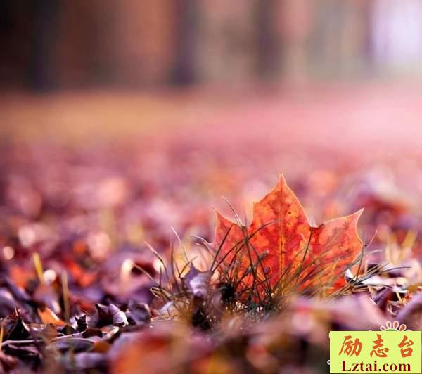 外热内冷的孤独说说经典语录：人生需要孤独，患者无须治疗