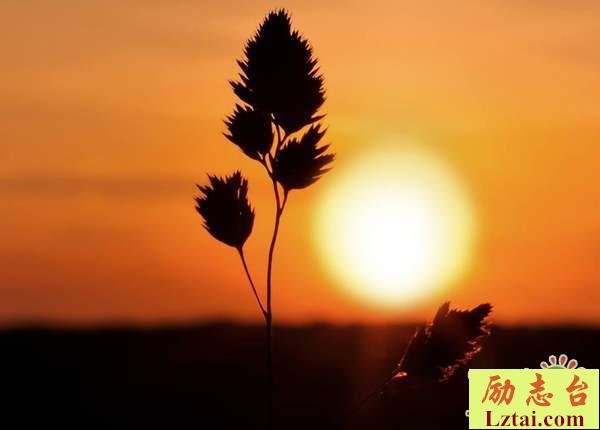 愿青春不留遗憾的句子情感语录：踏踏实实感受明天，和昨天说再见吧