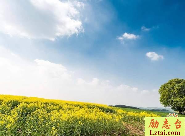 致自己的一句话说说心情：不管世界如何对自已，心都要向阳
