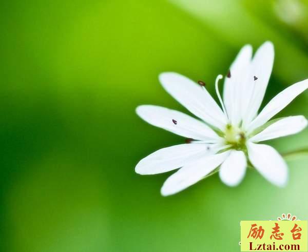 一个人难过的说说孤独语录：我会慢慢放下的，我必须向前走